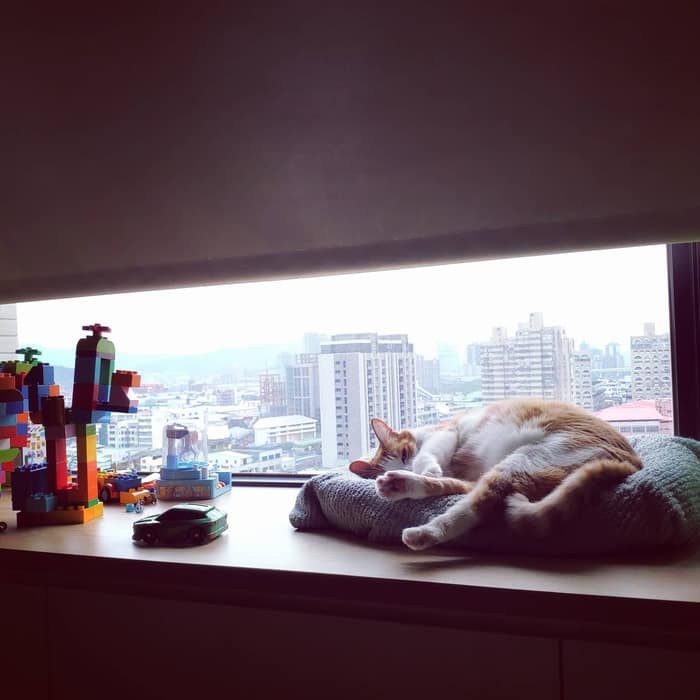 覺察只能玩真的