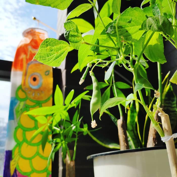 幾個月前的某天下午