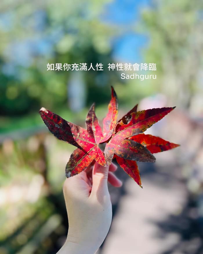 擁抱內在敏感易碎的玻璃心