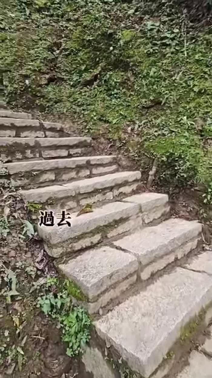 今天突然冒出一個想法