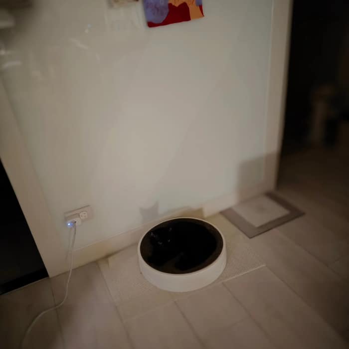 丸之隱身術影子的影子