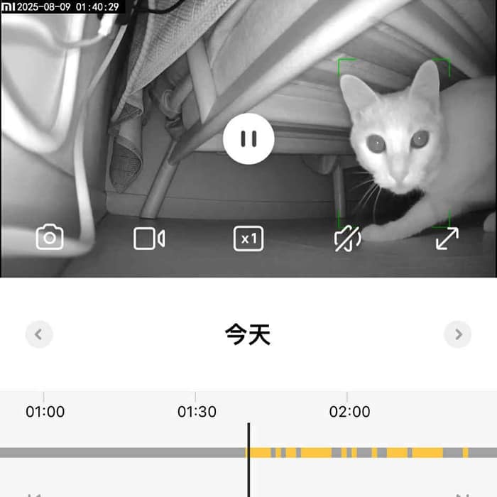 網路線被咬斷凶手是奶茶