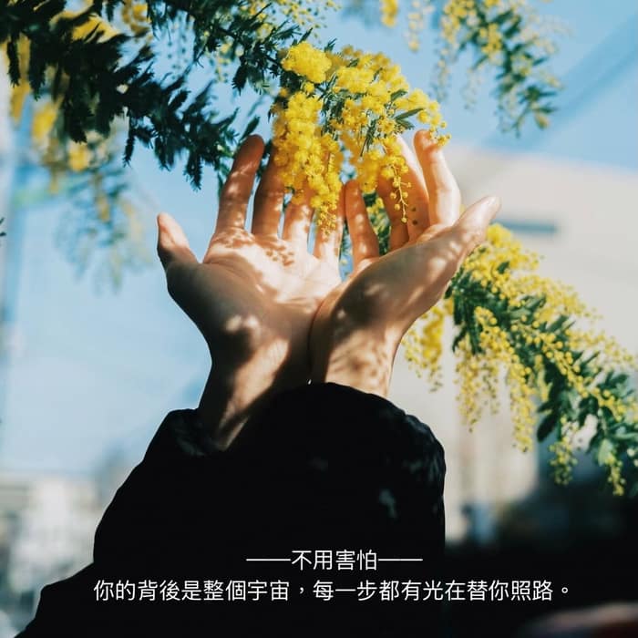 早上看到一段影片